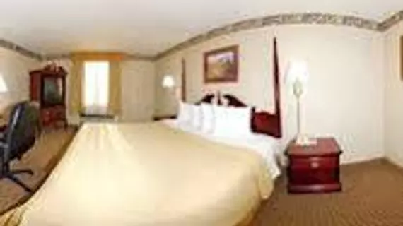 Quality Inn O'Hare Airport | İllinois - Chicago (ve civarı) - Schiller Park