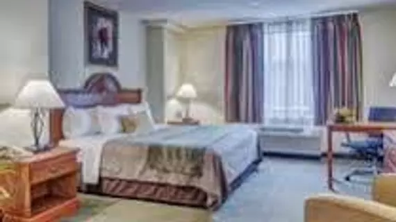 Comfort Inn Alexandria Landmark | Virginia - İskenderiye