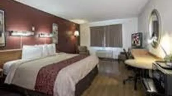 Red Roof Inn & Suites Cleveland - Elyria | Ohio - Cleveland (ve civarı) - Elyria