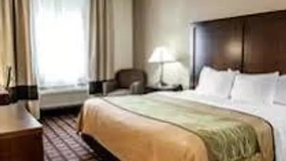 Comfort Inn Richmond | Indiana - Richmond (ve civarı) - Richmond