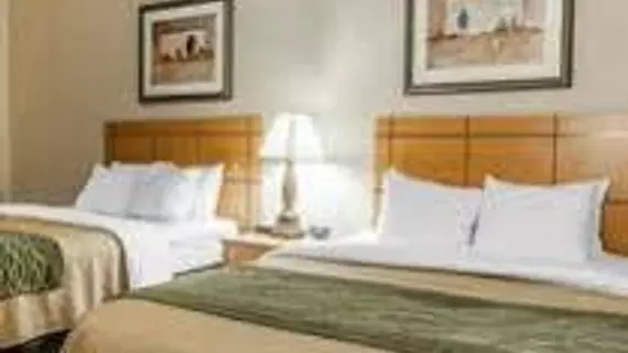 Comfort Inn Kokomo | Indiana - Kokomo (ve civarı) - Kokomo