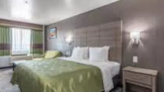 Quality Inn I-10 East near AT&T Center | Teksas - San Antonio (ve civarı) - San Antonio