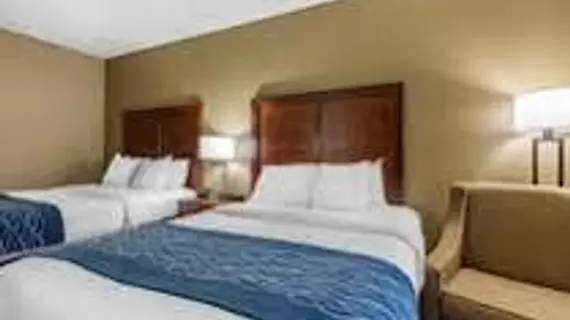 Comfort Inn & Suites Chattanooga | Tennessee - Chattanooga (ve civarı) - Chattanooga