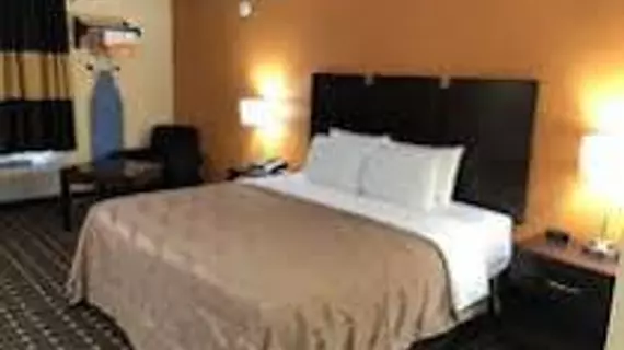 Travelodge Grand Rapids | Michigan - Grand Rapids (ve civarı) - Grand Rapids