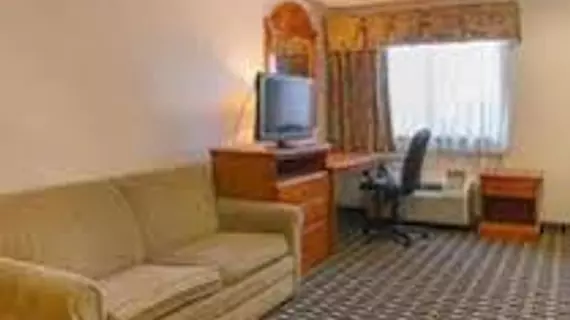 Quality Inn and Suites | Michigan - Detroit (ve civarı) - Romulus