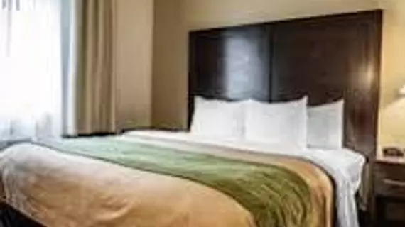 Comfort Inn Richmond | Indiana - Richmond (ve civarı) - Richmond