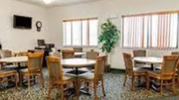 Comfort Inn Kokomo | Indiana - Kokomo (ve civarı) - Kokomo