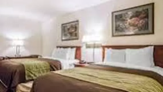 Comfort Inn Opryland Area | Tennessee - Nashville-Davidson - Nashville (ve civarı) - Nashville - Opryland - Donelson