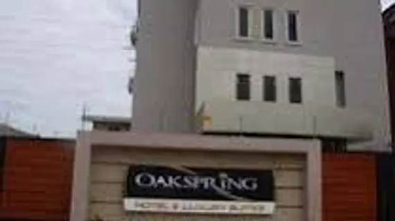 Oakspring Hotel & Luxury Suites | Lagos (ve civarı) - Lagos