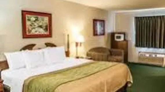 Comfort Inn Lebanon | Indiana - Indianapolis (ve civarı) - Lebanon