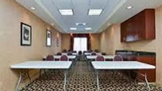 Holiday Inn Express Mobile West - I-65 | Alabama - Mobile (ve civarı) - Mobile