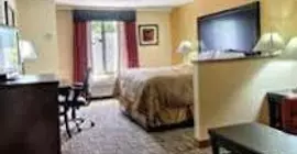 Comfort Inn and Suites | Güney Karolayna - Greenville - Spartanburg (ve civarı) - Greenville