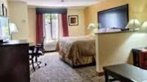 Comfort Inn and Suites | Güney Karolayna - Greenville - Spartanburg (ve civarı) - Greenville