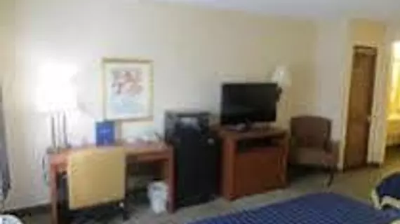 Baymont Inn & Suites Hot Springs | Arkansas - Hot Springs (ve civarı) - Hot Springs