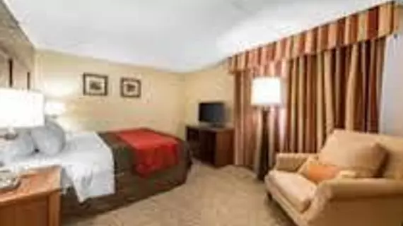 Comfort Inn & Suites Denver | Kolorado - Denver (ve civarı) - Denver - Northeast Park Hill