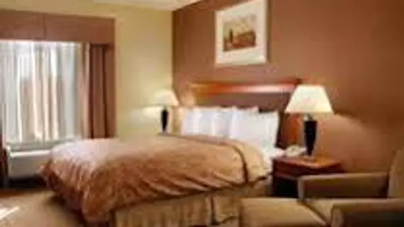 BEST WESTERN JOSHUA TREE HOTEL | Kaliforniya - San Bernardino County - Twentynine Palms (ve civarı) - Yucca Valley