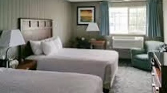 Country Inn & Suites by Radisson, Portland, TX | Teksas - Corpus Christi (ve civarı) - Portland