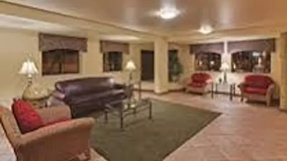 La Quinta Inn Tampa Near Busch Gardens | Florida - Tampa (ve civarı) - Tampa