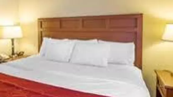 Comfort Suites Montgomery | Alabama - Montgomery (ve civarı) - Montgomery