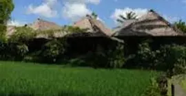 Ananda Cottage Hotel | Bali - Ubud - Kedewatan