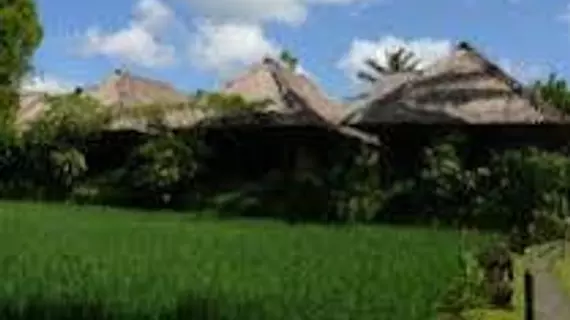 Ananda Cottage Hotel | Bali - Ubud - Kedewatan