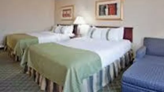 Holiday Inn South County Center - St. Louis | Missouri - St. Louis (ve civarı) - St. Louis - Mehlville