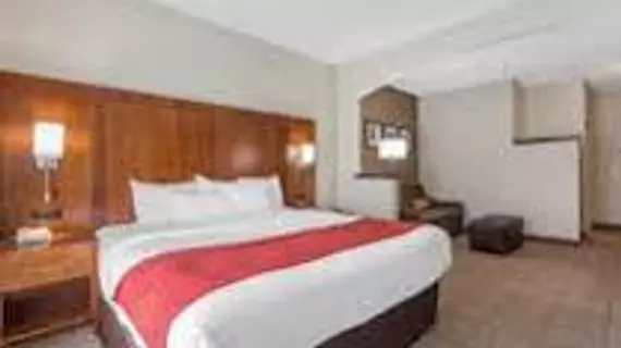 Comfort Suites Salisbury | Kuzey Karolayna - Lexington - Salisbury (ve civarı) - Salisbury