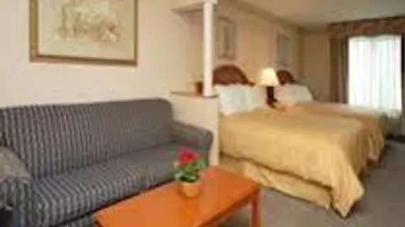 Comfort Suites Benton Harbor | Michigan - Benton Harbor (ve civarı) - Benton Harbor