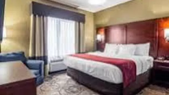 Comfort Suites | Michigan - Detroit (ve civarı) - Southfield