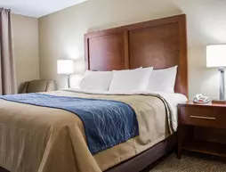 Comfort Inn | New York - New York (ve civarı) - Queens - Jamaika