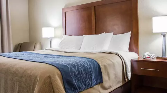 Comfort Inn | New York - New York (ve civarı) - Queens - Jamaika