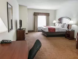 Comfort Suites Cincinnati Airport | Kentucky - Covington (ve civarı) - Hebron