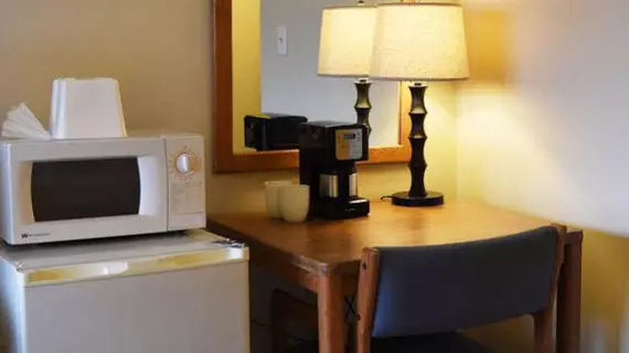 The University Inn Ann Arbor | Michigan - Scio Township - Ann Arbor (ve civarı) - Ann Arbor