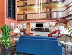 Comfort Inn and Suites | Tennessee - Memphis (ve civarı) - Memphis