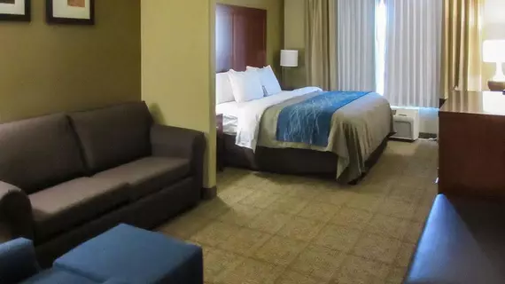 Comfort Inn Saint George North | Utah - St. George (ve civarı) - St. George