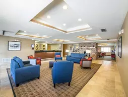 Comfort Inn | Wyoming - Casper (ve civarı) - Evansville