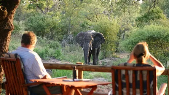 Amukela Game Lodge | Limpopo - Maruleng - Hoedspruit