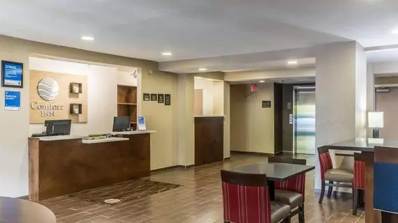 Comfort Inn | Güney Karolayna - Myrtle Plajı (ve civarı) - North Myrtle Beach