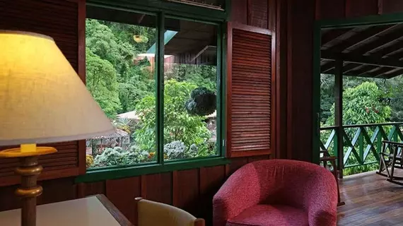 Trogon Lodge | San Jose (ili) - Dominical (ve civarı) - Páramo