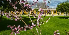 Resort Bosco De Medici | Campania - Salerno (il) - Mount Vesuvius - Pompei (bölge) - Pompei