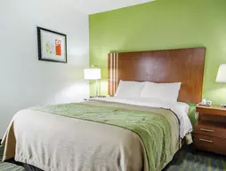 Comfort Inn Shepherdsville - Louisville South | Kentucky - Louisville (ve civarı) - Shepherdsville - Hillview