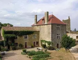 Le Vieux Chateau | Nouvelle-Aquitaine - Deux-Sevres (bölge) - Airvault