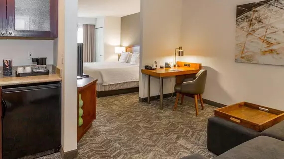 SpringHill Suites by Marriott Tampa Westshore | Florida - Tampa (ve civarı) - Tampa