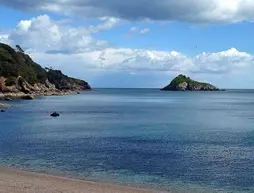 Channel View | Devon (kontluk) - South Hams - Paignton