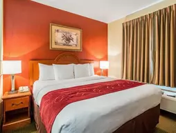 Comfort Suites Batesville | Arkansas - Batesville