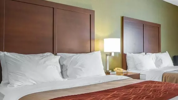 Comfort Inn | Kentucky - Lexington (ve civarı) - Winchester