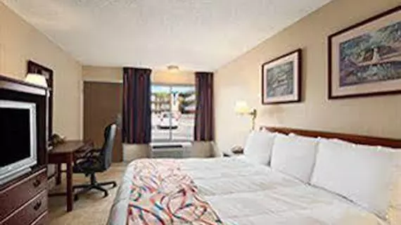 Days Inn Tampa North of Busch Gardens | Florida - Tampa (ve civarı) - Tampa