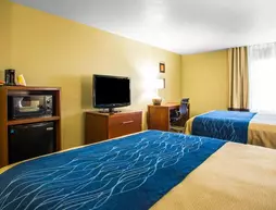 Comfort Inn and Suites | Missouri - Springfield (ve civarı) - Springfield