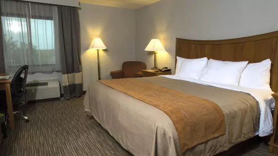 Comfort Inn | Missouri - Springfield (ve civarı) - Springfield