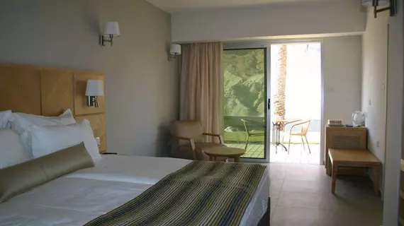 Ein Gedi Kibbutz Hotel | Tamar Bölge Konseyi - Ein Gedi